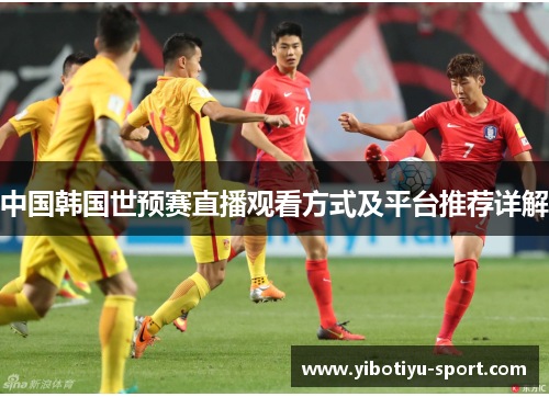 中国韩国世预赛直播观看方式及平台推荐详解